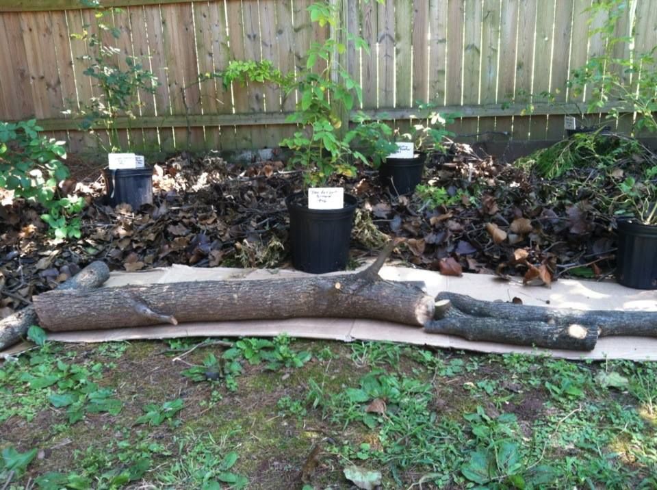 photo 1240201_10151608172617285_1369865865_n.jpg